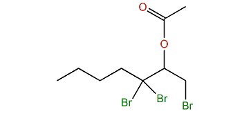 1,3,3-Tribromoheptan-2-yl acetate